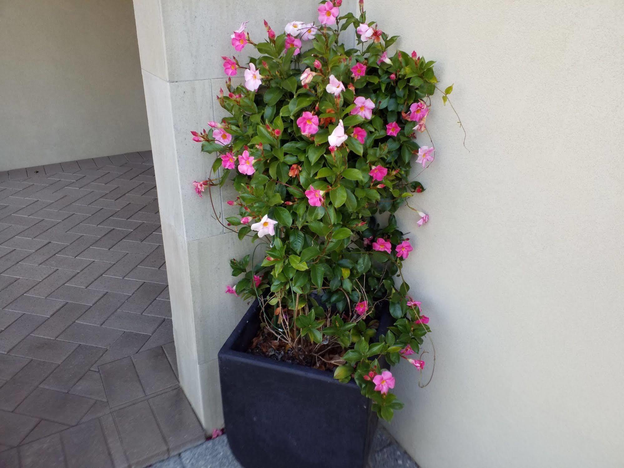 Sorrento Beach Bed & Breakfast Perth Luaran gambar